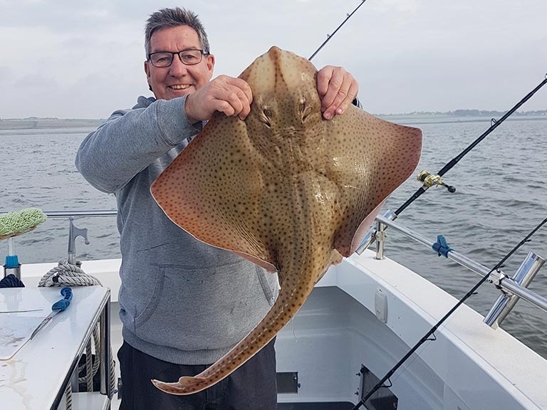 boat fishing trips swansea